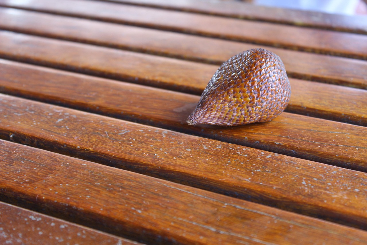 découvrez comment sélectionner le cms idéal pour votre site web. comparaison, conseils et critères pour choisir la solution adaptée à vos besoins.